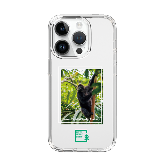 Slim Protection Case［ Green Future Project - Brown-headed Spider Monkey ］