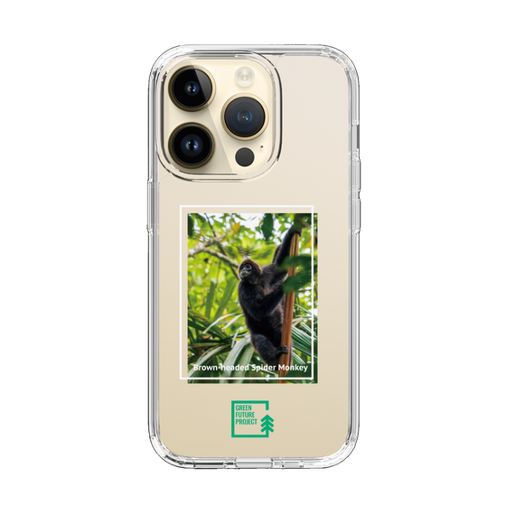 Slim Protection Case［ Green Future Project - Brown-headed Spider Monkey ］