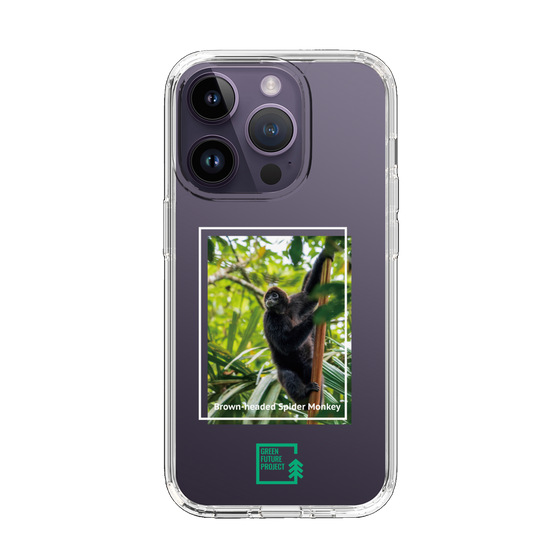 Slim Protection Case［ Green Future Project - Brown-headed Spider Monkey ］