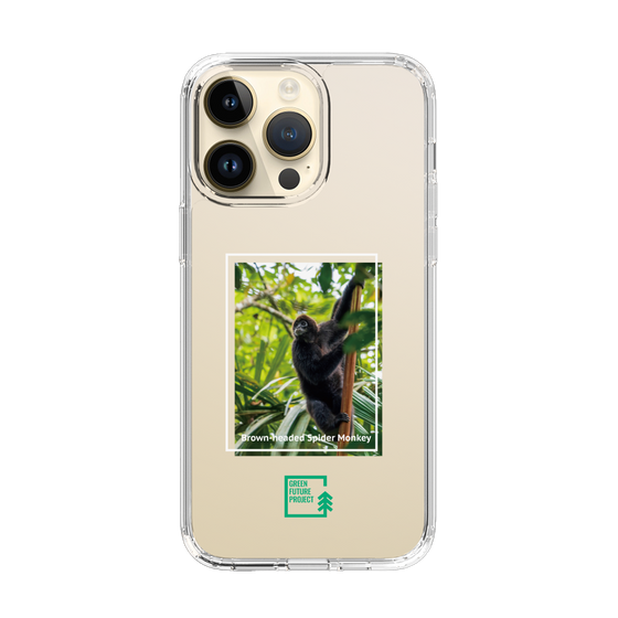 Slim Protection Case［ Green Future Project - Brown-headed Spider Monkey ］