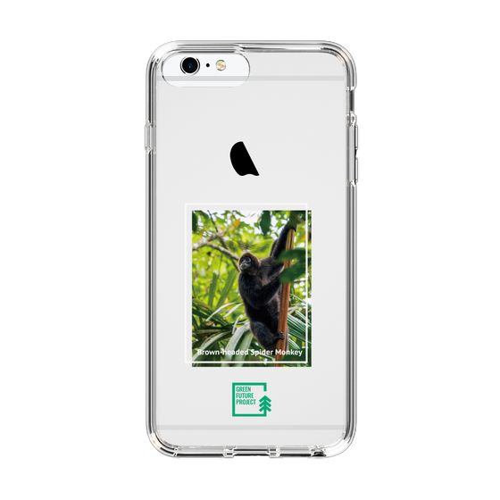 Slim Protection Case［ Green Future Project - Brown-headed Spider Monkey ］