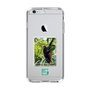 Slim Protection Case［ Green Future Project - Brown-headed Spider Monkey ］