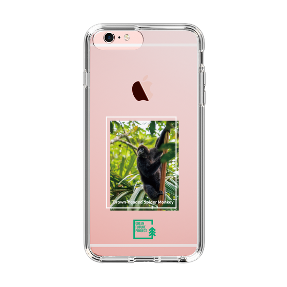 Slim Protection Case［ Green Future Project - Brown-headed Spider Monkey ］