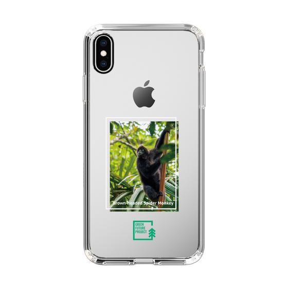 Slim Protection Case［ Green Future Project - Brown-headed Spider Monkey ］