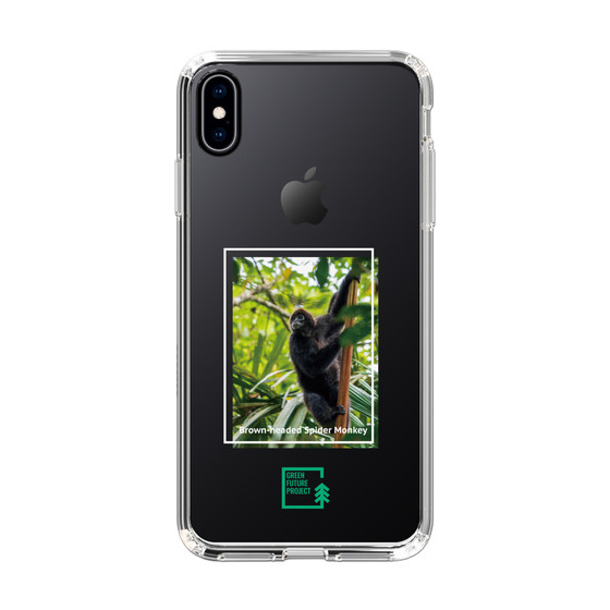 Slim Protection Case［ Green Future Project - Brown-headed Spider Monkey ］