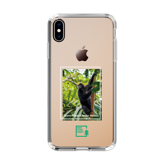 Slim Protection Case［ Green Future Project - Brown-headed Spider Monkey ］