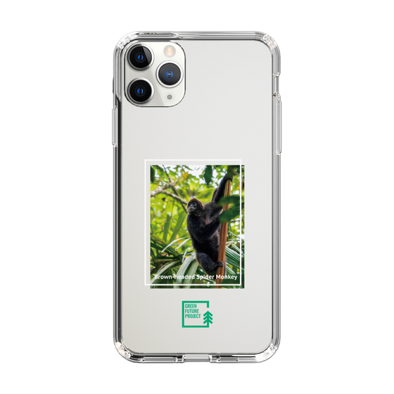 Slim Protection Case［ Green Future Project - Brown-headed Spider Monkey ］