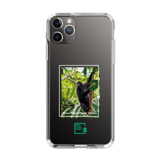 Slim Protection Case［ Green Future Project - Brown-headed Spider Monkey ］