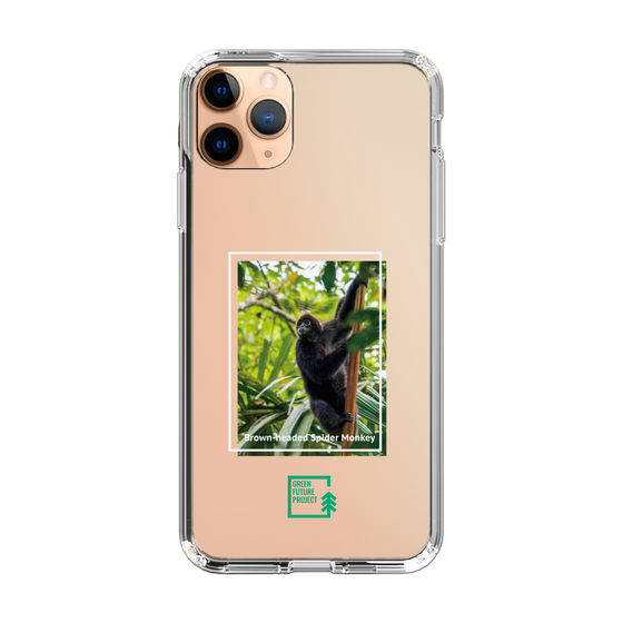Slim Protection Case［ Green Future Project - Brown-headed Spider Monkey ］