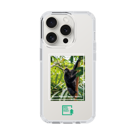 Slim Protection Case［ Green Future Project - Brown-headed Spider Monkey ］