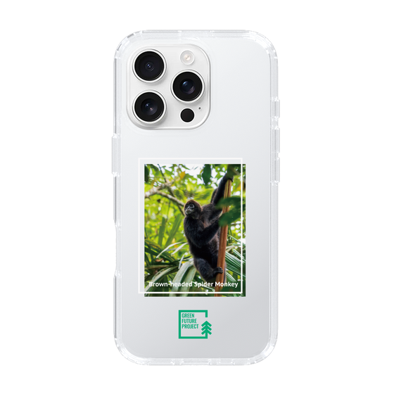 Slim Protection Case［ Green Future Project - Brown-headed Spider Monkey ］