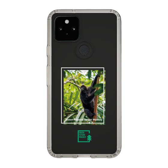 Slim Protection Case［ Green Future Project - Brown-headed Spider Monkey ］