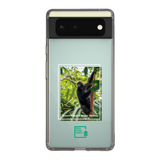 Slim Protection Case［ Green Future Project - Brown-headed Spider Monkey ］