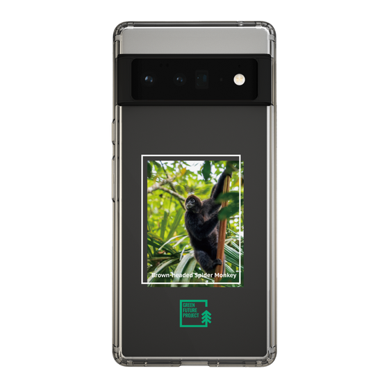 Slim Protection Case［ Green Future Project - Brown-headed Spider Monkey ］