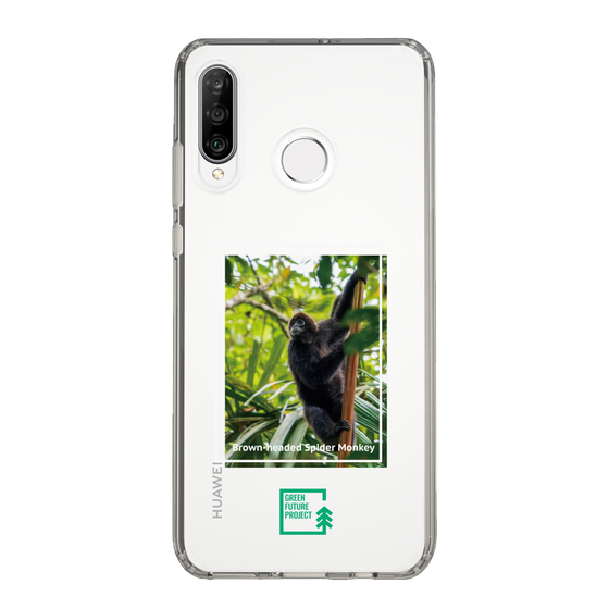 Slim Protection Case［ Green Future Project - Brown-headed Spider Monkey ］