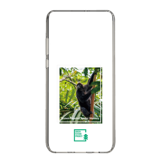 Slim Protection Case［ Green Future Project - Brown-headed Spider Monkey ］