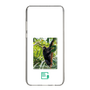 Slim Protection Case［ Green Future Project - Brown-headed Spider Monkey ］