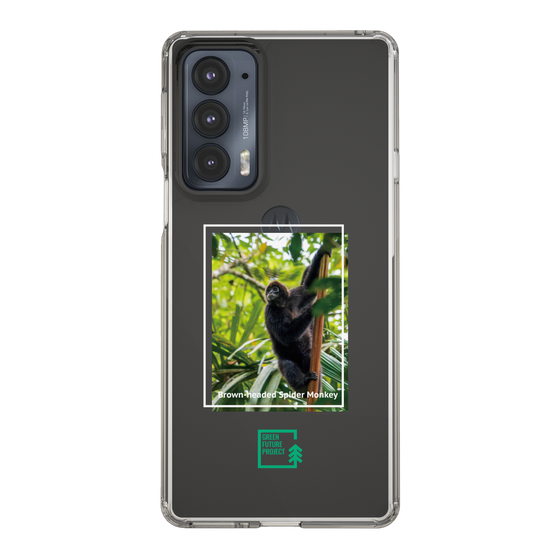Slim Protection Case［ Green Future Project - Brown-headed Spider Monkey ］