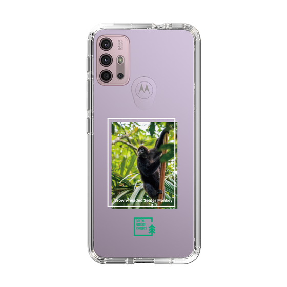 Slim Protection Case［ Green Future Project - Brown-headed Spider Monkey ］