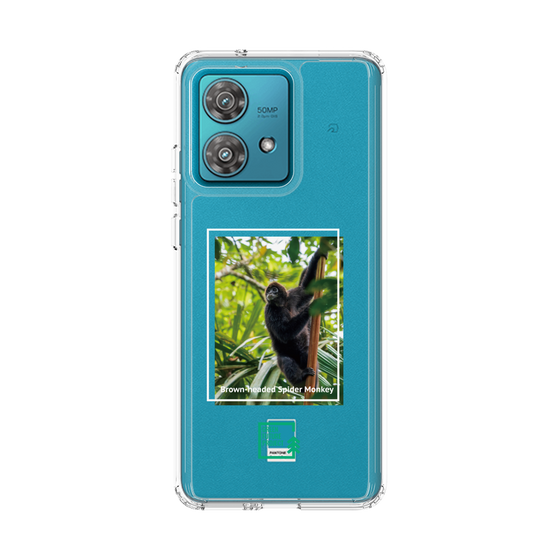 Slim Protection Case［ Green Future Project - Brown-headed Spider Monkey ］