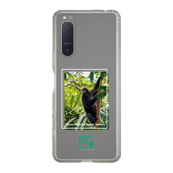 Slim Protection Case［ Green Future Project - Brown-headed Spider Monkey ］