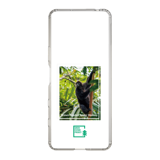 Slim Protection Case［ Green Future Project - Brown-headed Spider Monkey ］