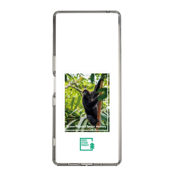 Slim Protection Case［ Green Future Project - Brown-headed Spider Monkey ］