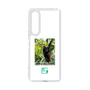 Slim Protection Case［ Green Future Project - Brown-headed Spider Monkey ］