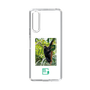 Slim Protection Case［ Green Future Project - Brown-headed Spider Monkey ］