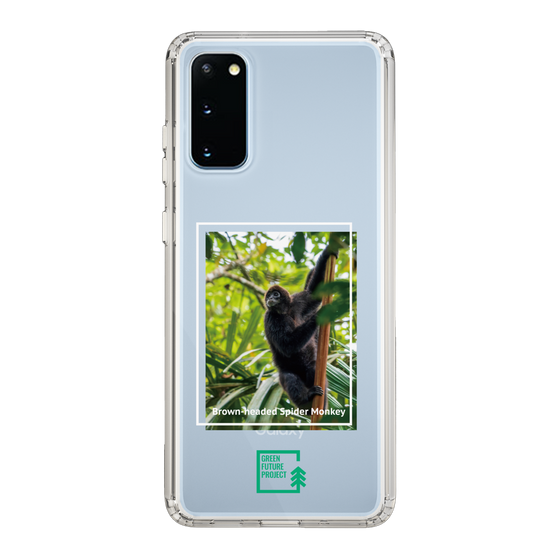 Slim Protection Case［ Green Future Project - Brown-headed Spider Monkey ］
