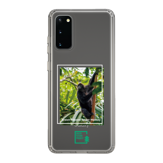 Slim Protection Case［ Green Future Project - Brown-headed Spider Monkey ］
