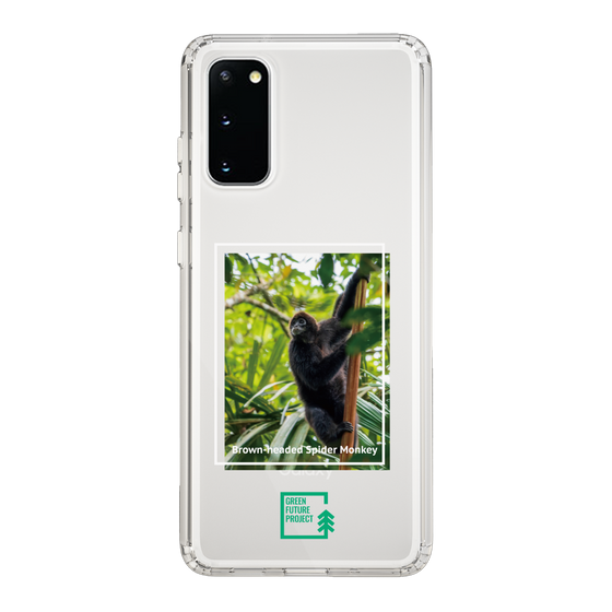 Slim Protection Case［ Green Future Project - Brown-headed Spider Monkey ］