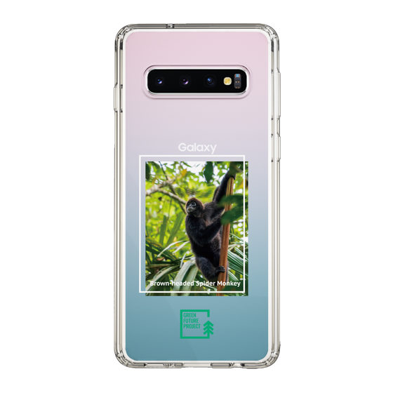 Slim Protection Case［ Green Future Project - Brown-headed Spider Monkey ］