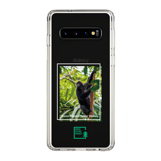 Slim Protection Case［ Green Future Project - Brown-headed Spider Monkey ］