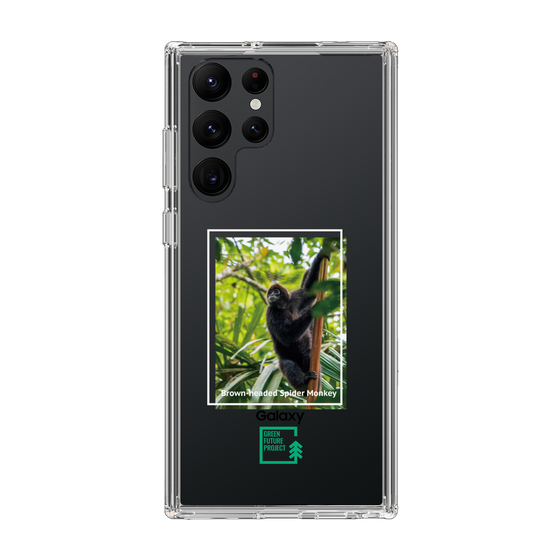 Slim Protection Case［ Green Future Project - Brown-headed Spider Monkey ］