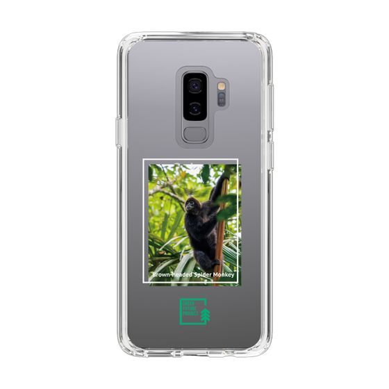 Slim Protection Case［ Green Future Project - Brown-headed Spider Monkey ］
