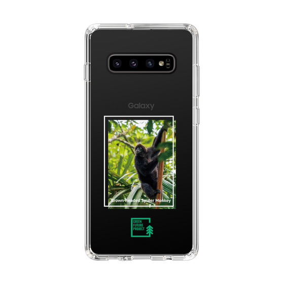 Slim Protection Case［ Green Future Project - Brown-headed Spider Monkey ］