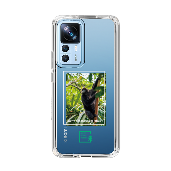 Slim Protection Case［ Green Future Project - Brown-headed Spider Monkey ］