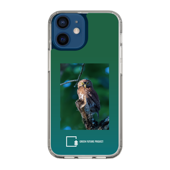 Slim Protection Case［ Green Future Project - Ferruginous Pygmy Owl ］