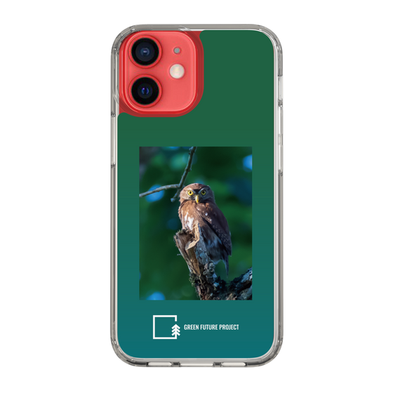 Slim Protection Case［ Green Future Project - Ferruginous Pygmy Owl ］