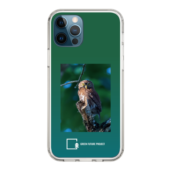 Slim Protection Case［ Green Future Project - Ferruginous Pygmy Owl ］