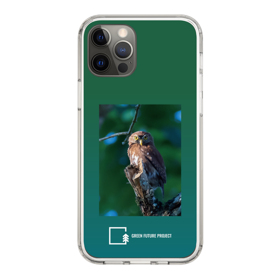 Slim Protection Case［ Green Future Project - Ferruginous Pygmy Owl ］