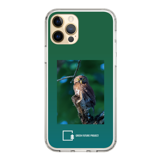 Slim Protection Case［ Green Future Project - Ferruginous Pygmy Owl ］
