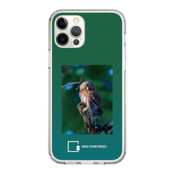 Slim Protection Case［ Green Future Project - Ferruginous Pygmy Owl ］