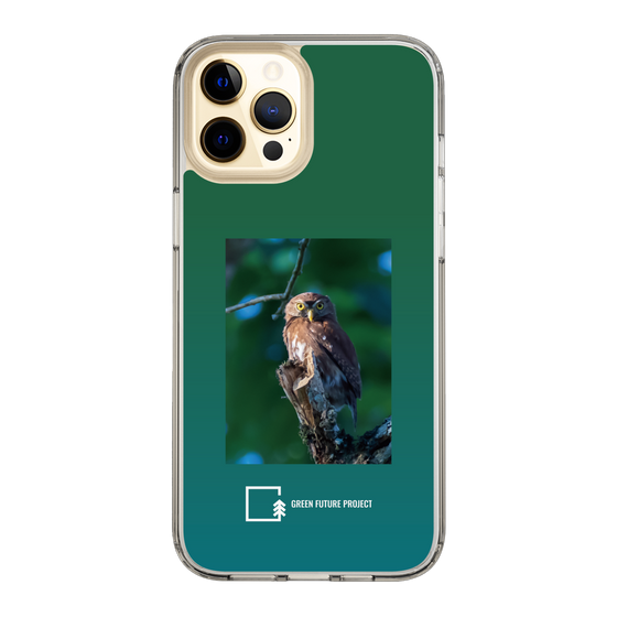 Slim Protection Case［ Green Future Project - Ferruginous Pygmy Owl ］