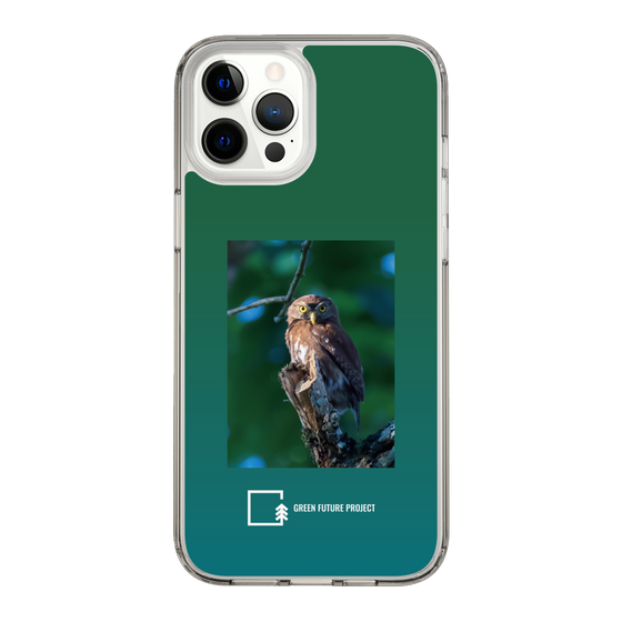 Slim Protection Case［ Green Future Project - Ferruginous Pygmy Owl ］