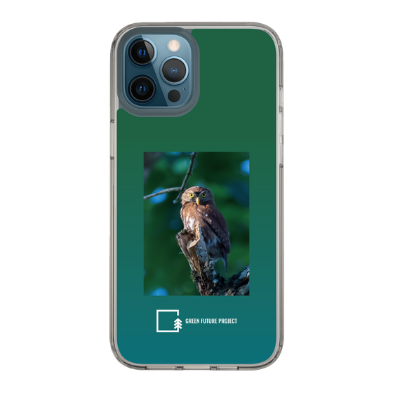 Slim Protection Case［ Green Future Project - Ferruginous Pygmy Owl ］
