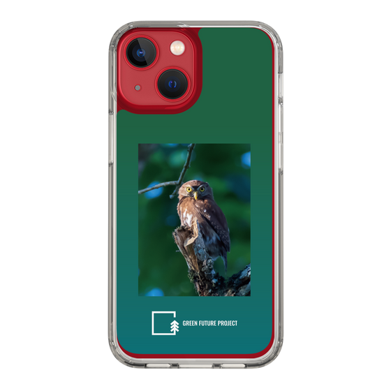 Slim Protection Case［ Green Future Project - Ferruginous Pygmy Owl ］