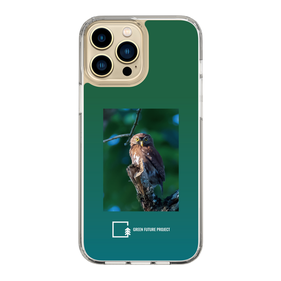 Slim Protection Case［ Green Future Project - Ferruginous Pygmy Owl ］