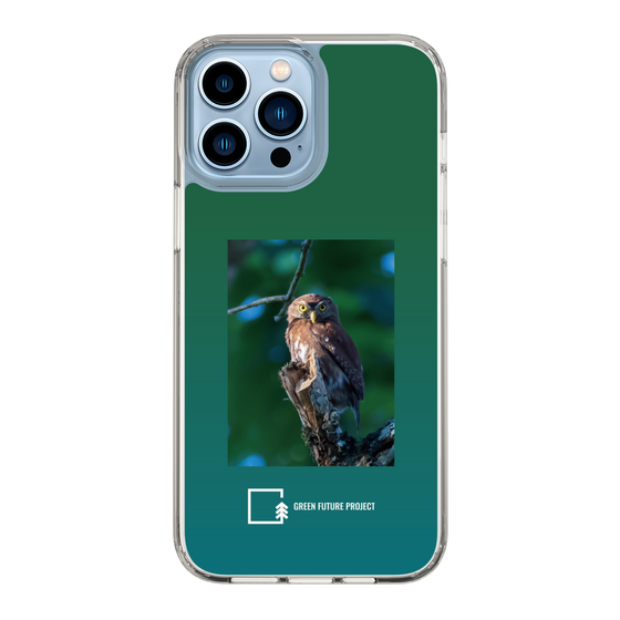 Slim Protection Case［ Green Future Project - Ferruginous Pygmy Owl ］